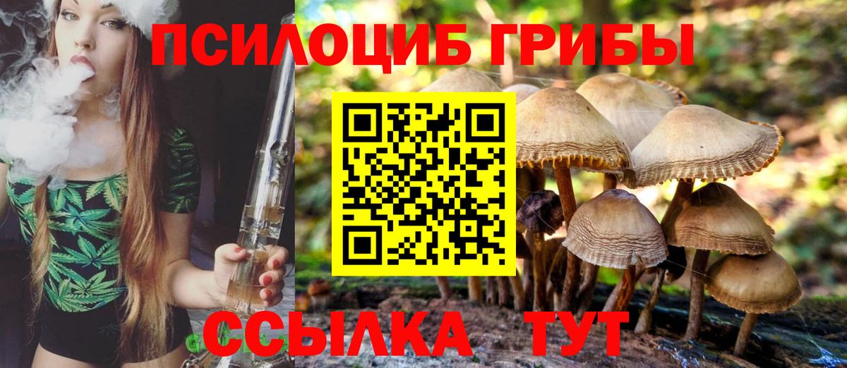 Галлюциногенные грибы Psilocybine cubensis Ржев